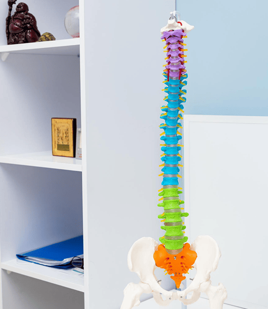 Especialistas en <strong>Doctor en cirugía</strong> de <strong>columna en </strong>Chihuahua